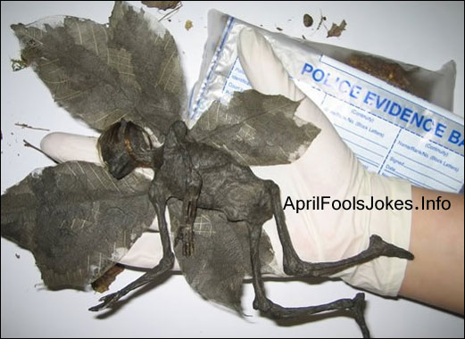 Dead Faerie